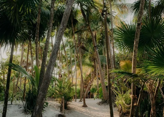 Sacred Hideaways Tulum