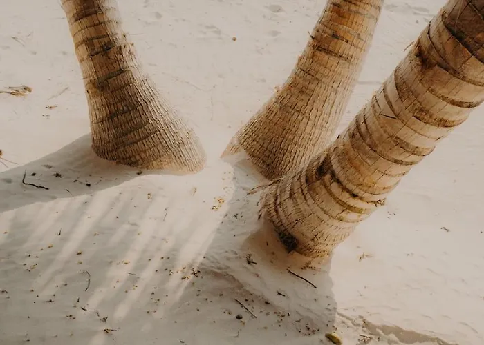 Sacred Hideaways * Tulum